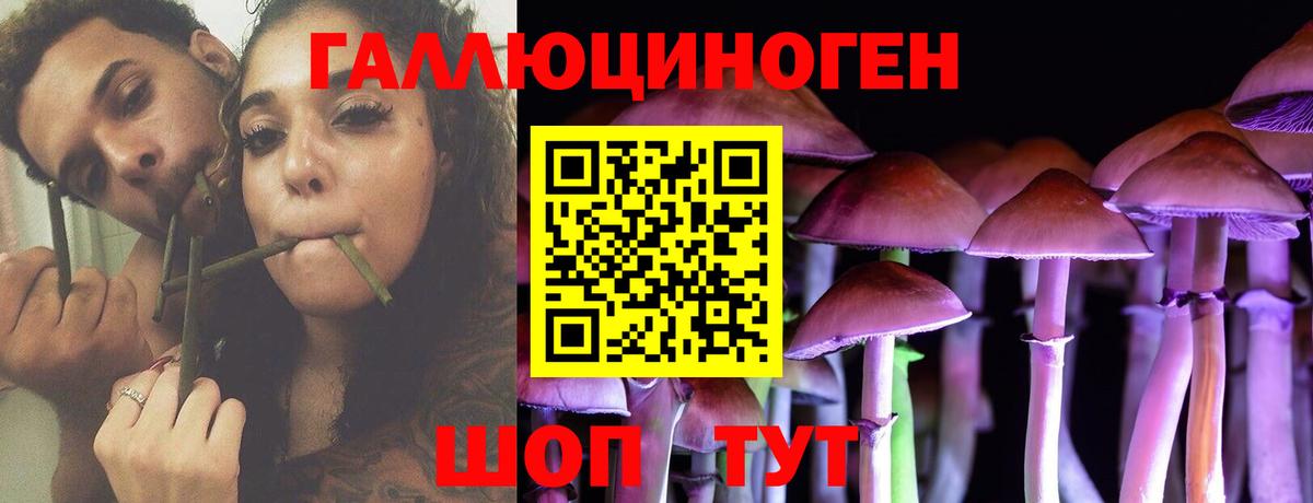 Галлюциногенные грибы GOLDEN TEACHER Маркс